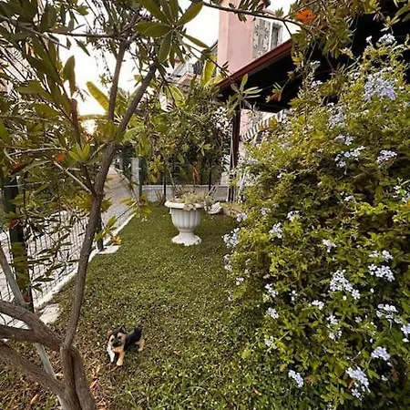 Casa de Férias Villa Kusadasi